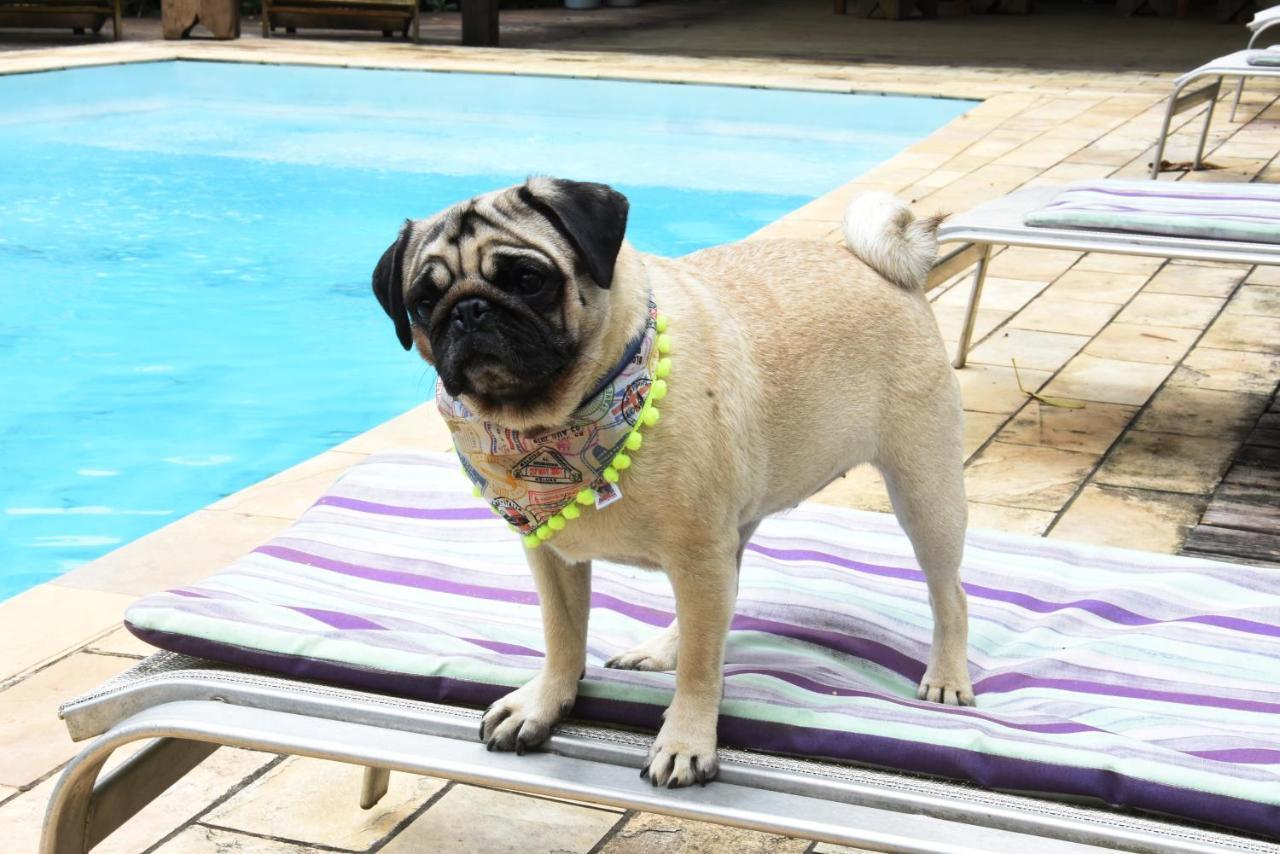 Pousada Portal Do Cacau-Petfriendly Camburi  Exterior photo