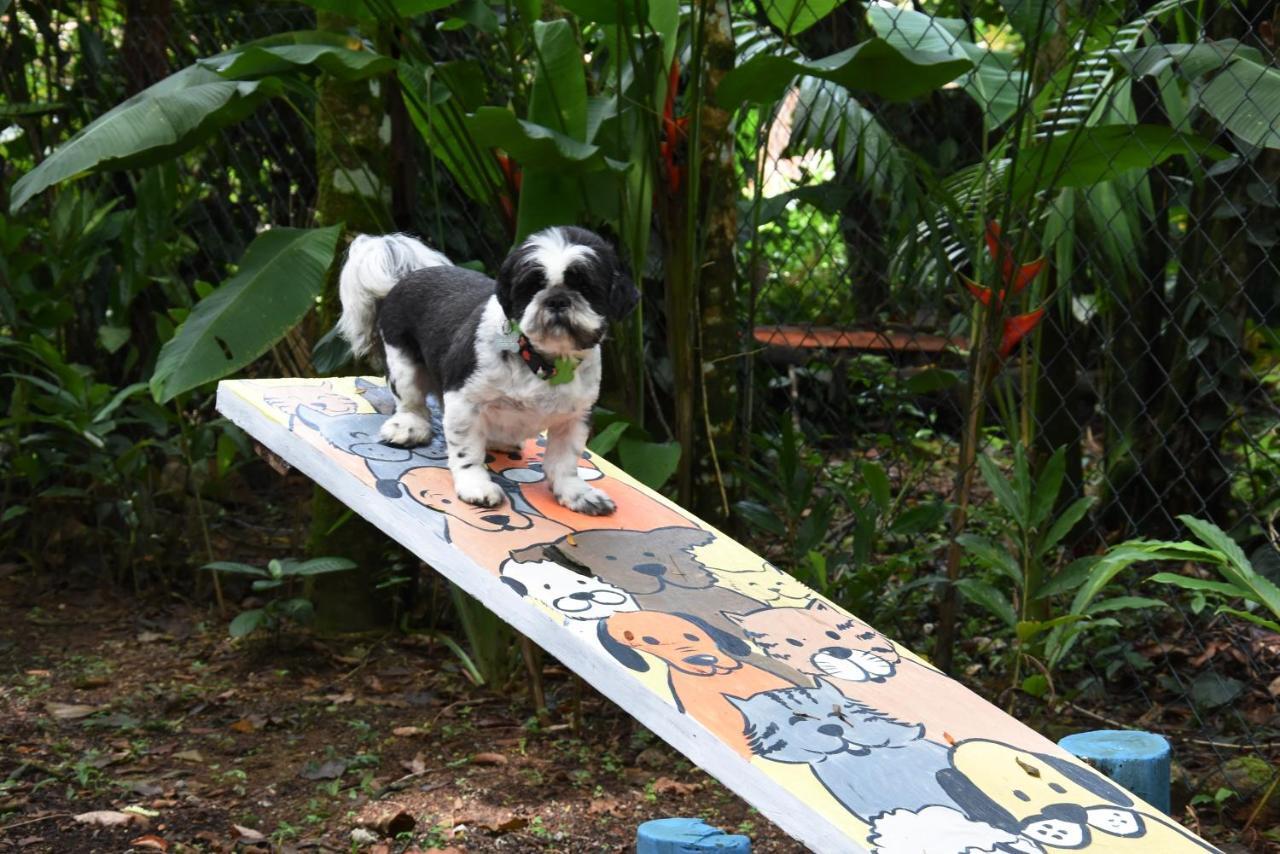 Pousada Portal Do Cacau-Petfriendly Camburi  Exterior photo